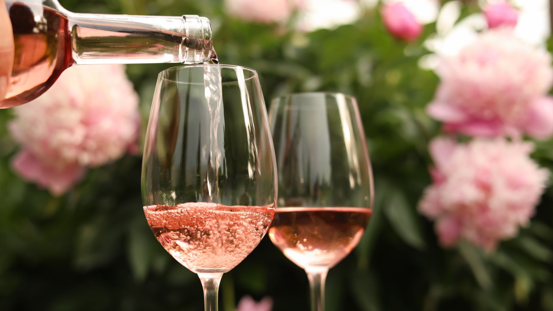 Two glasses of rose wine in a flower garden