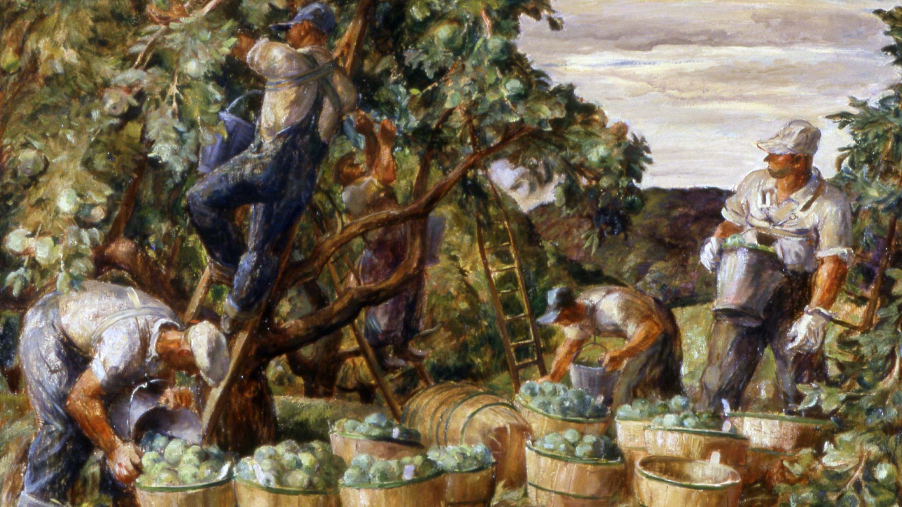 Robert Von Neumann Sr., Apple Harvest in the Kickapoo Valley