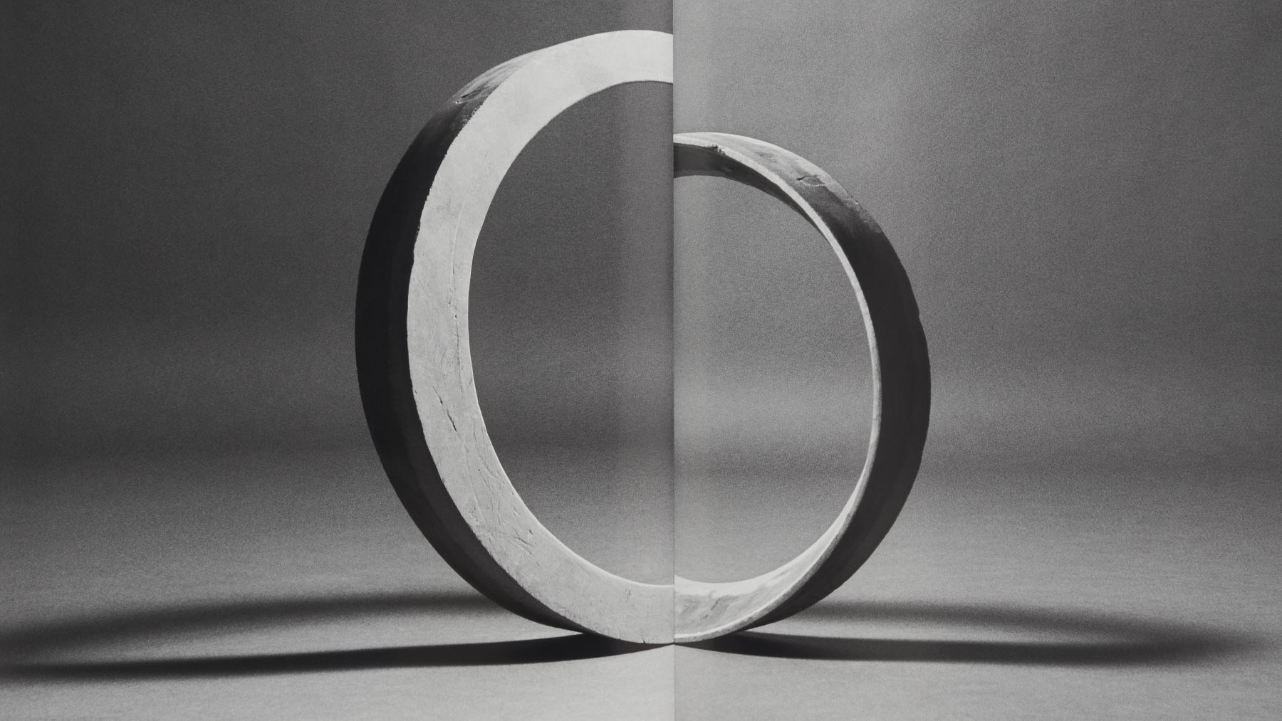 Detail of Fig. 5 by Erin Shirreff