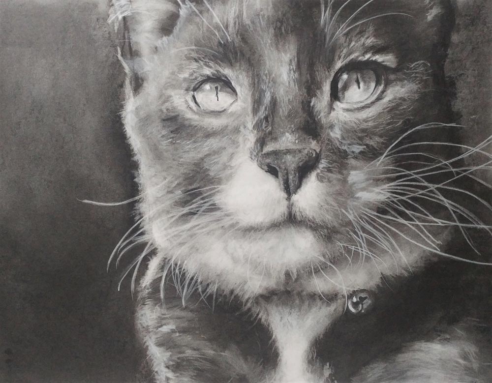 Black and white sketch of a cat with a bell around its neck