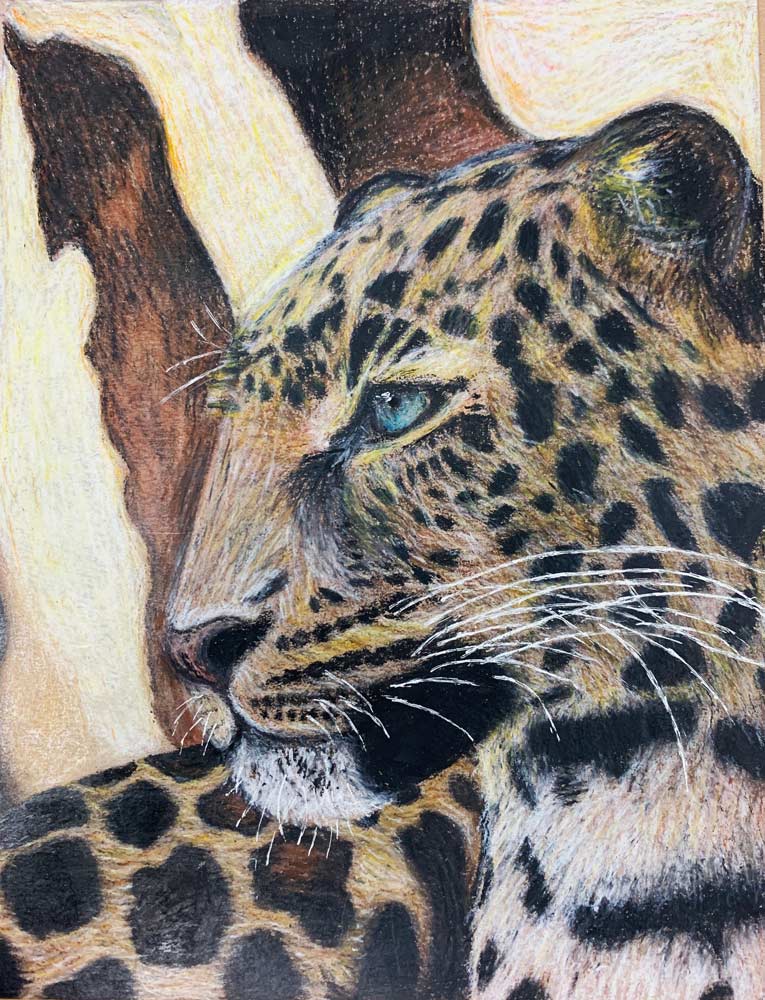 Close up illustration of a cheetah from the neck up