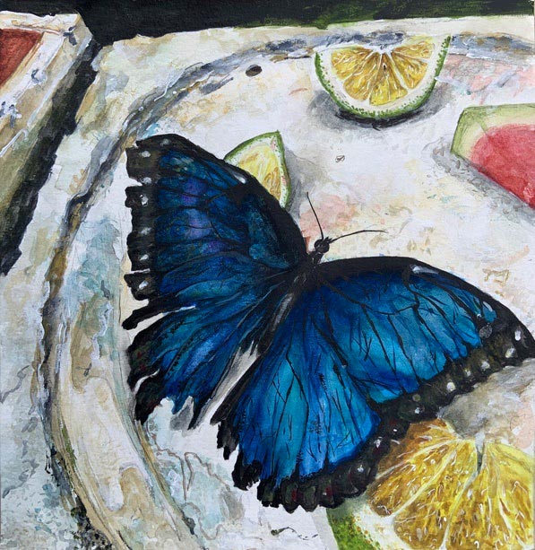 Blue butterfly sitting on a plate with leftover watermelon and lime pieces