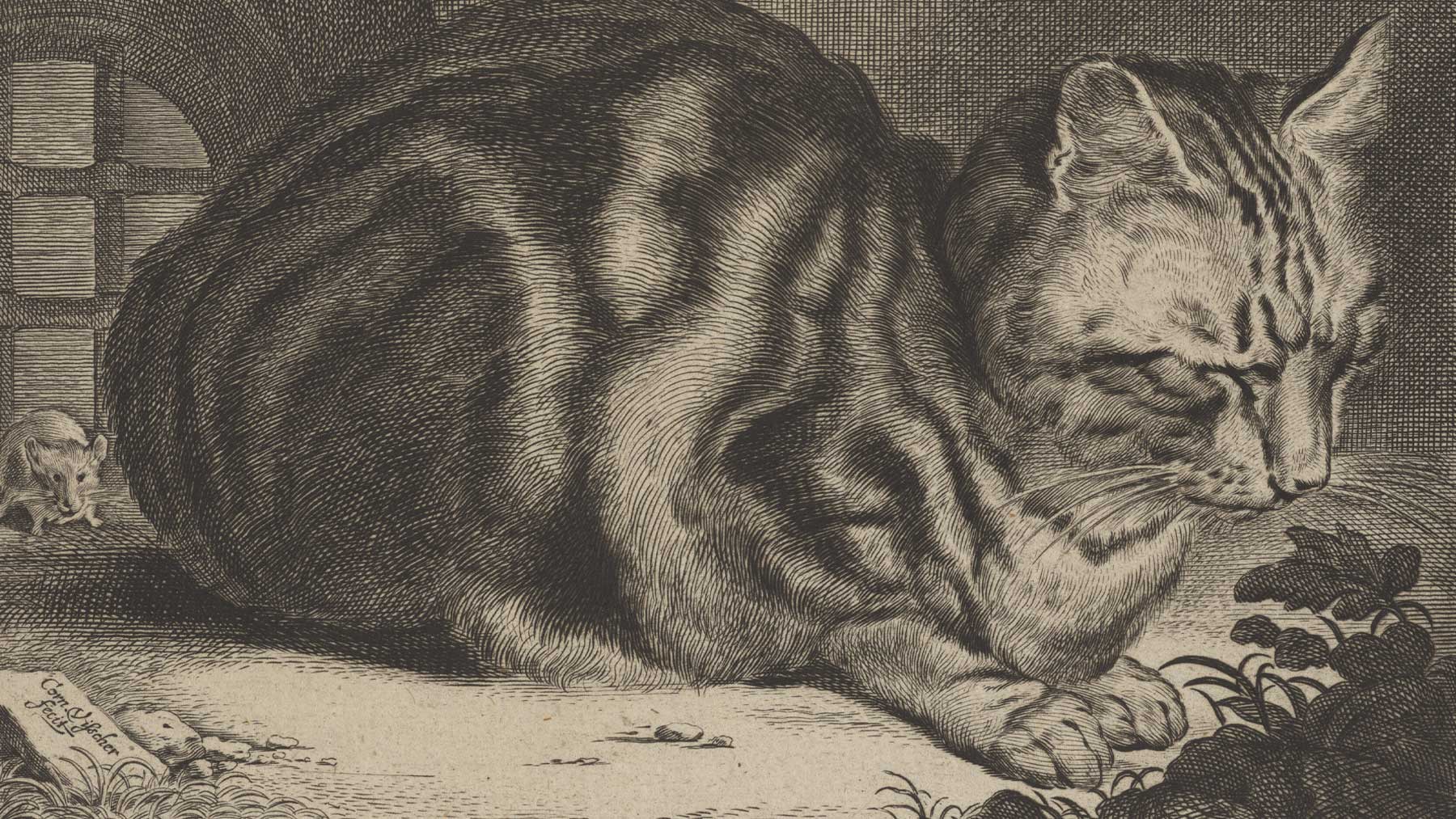 Image from Life Captured in Line: 17th-Century Dutch and Flemish Prints