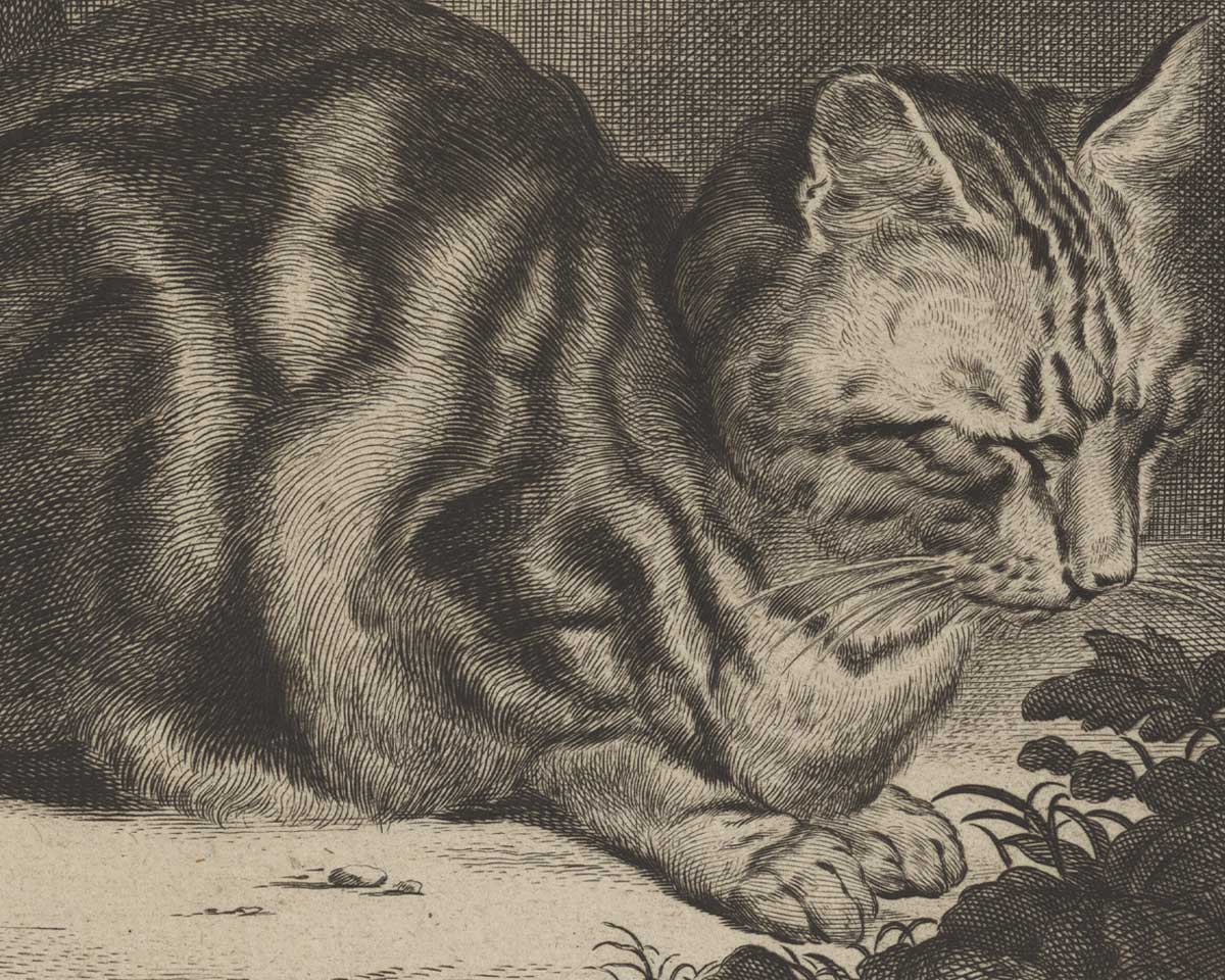 Image from Life Captured in Line: 17th-Century Dutch and Flemish Prints