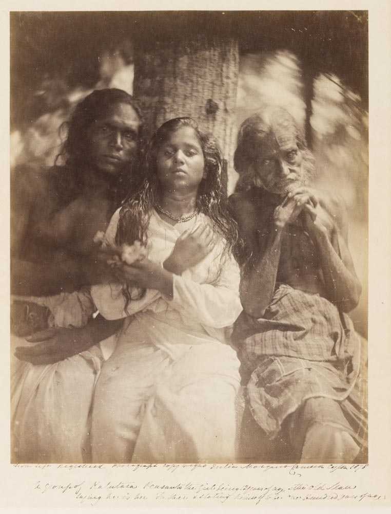 Julia Margaret Cameron, A Group of Kalutara Peasants