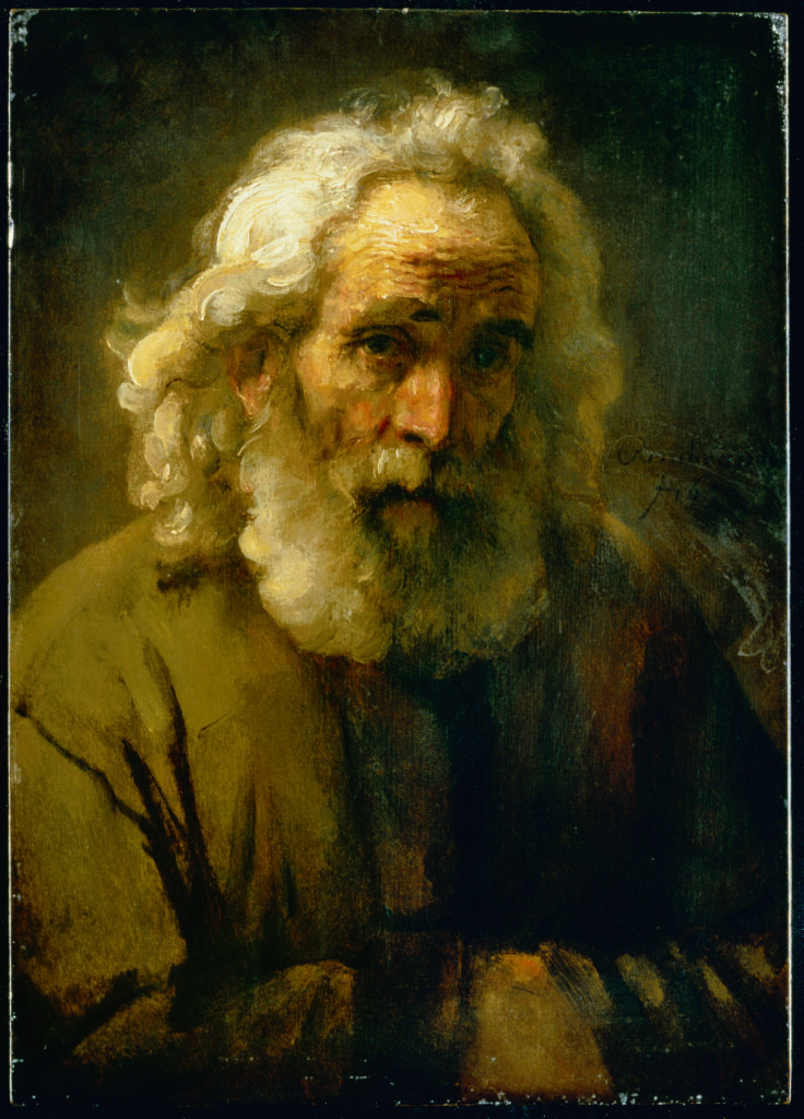 Rembrandt van Rijn, Study of the Head of an Old Man with Curly Hair