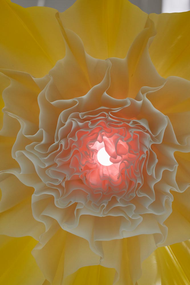 Installation image of Meadow by DRIFT