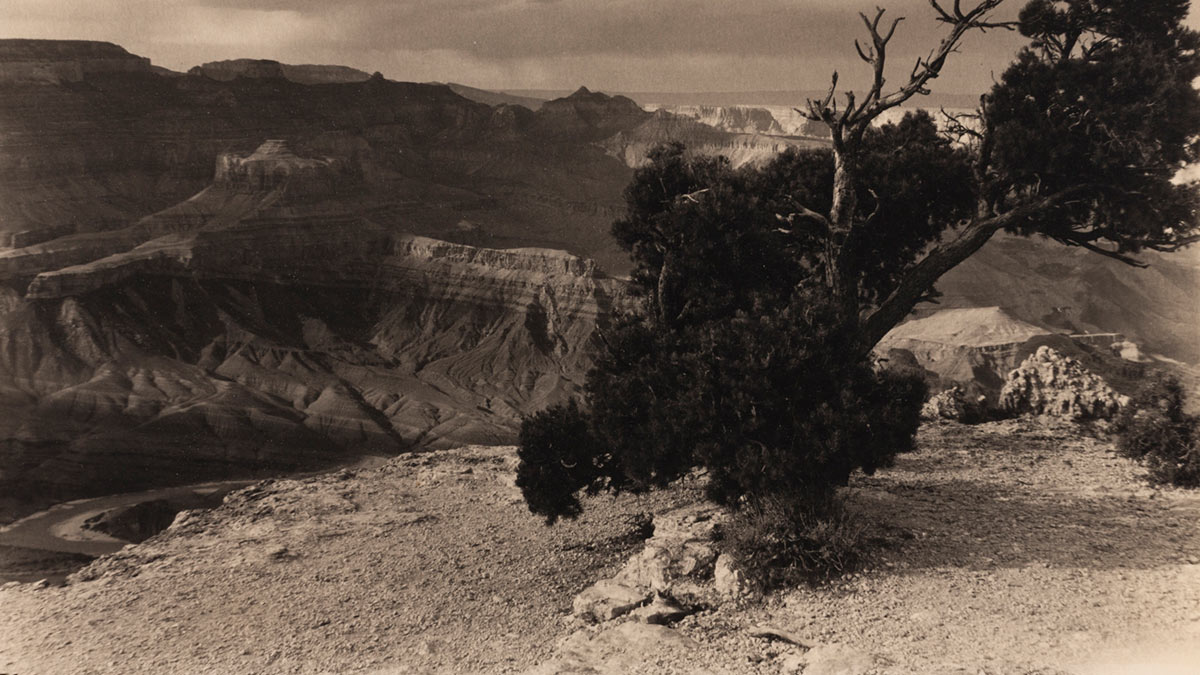 'The Grand Canyon' photograph in the Shifting Perspectives exhibition
