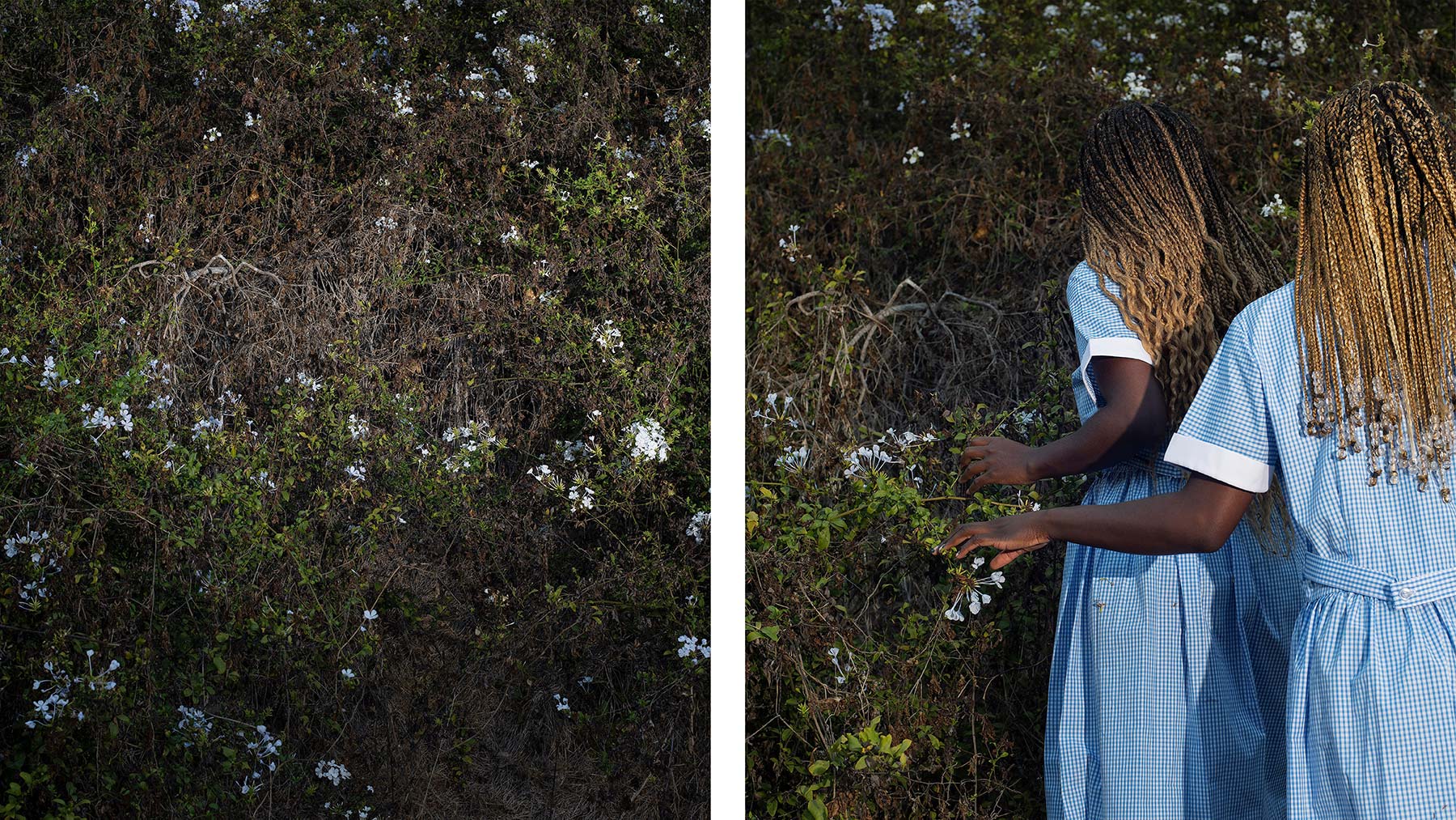 Detail of Si Ou Ta Dwe Bliye Wout Lakay Ou (Lè Tout Limyè Yo Etenn) (Should You Forget Your Way Home (When All The Lights Go Off) by Widline Cadet