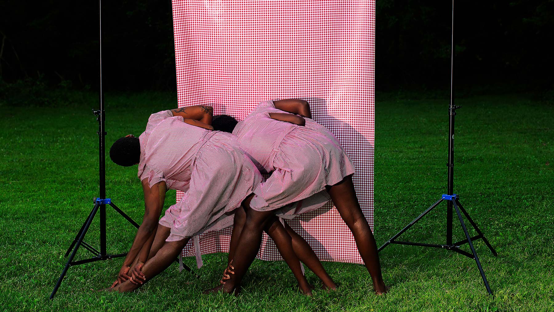 Detail of Nou Fè Pati, Nou Se, Nou Anvi (We Belong, We Be, We Long) by Widline Cadet